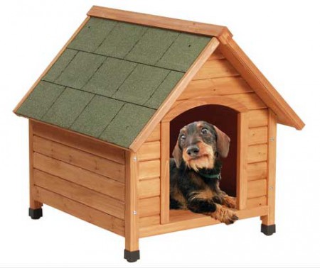 Oferta en casas de perro solo por compras online 
